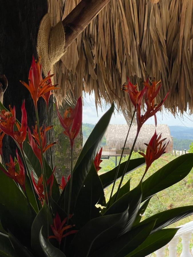 La Manola Finca Hotel Doradal المظهر الخارجي الصورة